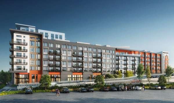 Windows - Modera SoBro, Nashville, TN